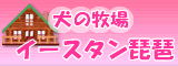 �����Ҿ쥤������������