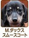 �ߥ˥��奢���å����ե�� ���ࡼ��������