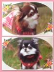 ϰ٤ҶãˤäƤޤ¹ΰ⣵ޤʤΤǰˤǤޤ͹񤫤ǯԤͷӤ˴äƤޤ˾Ρפ󡢡ۡפˬƤޤۤȥѡǥΤ褦ʥǤ ʴ̷٥åԥ󤵤Ǥ֤꤬Ȥޤ